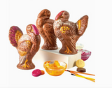 Chocolate Turkey Painting!