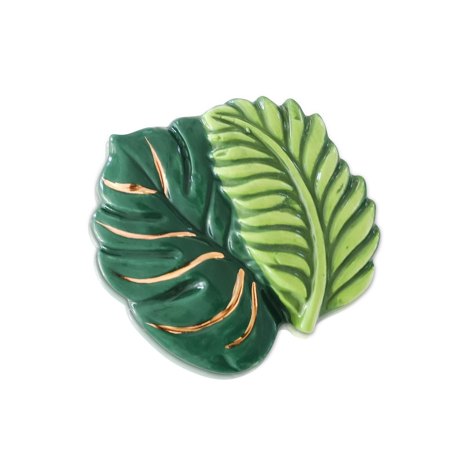 Best Ferns Forever Retired Mini