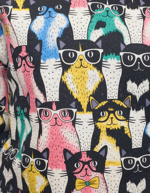 Colorful Cat Sweatshirt