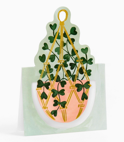 Plants Pop-Up Greeting Card Set