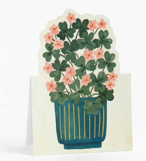Plants Pop-Up Greeting Card Set