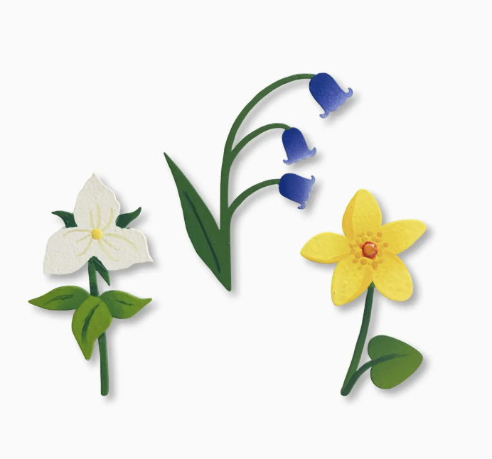 Wildflower Magnets