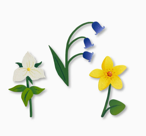Wildflower Magnets