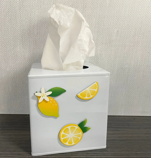 Lemon Magnets