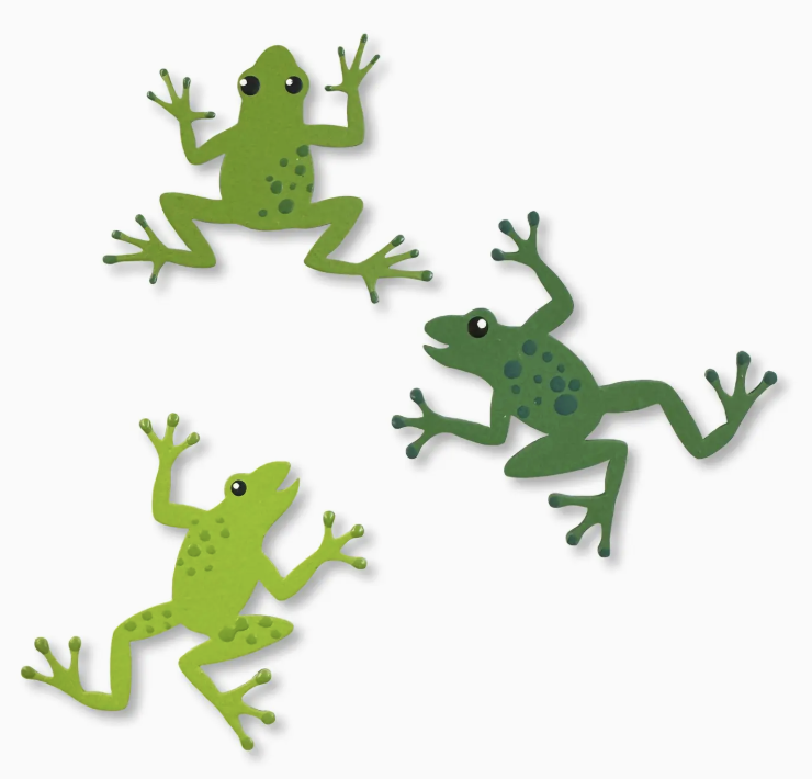 Frog Magnets