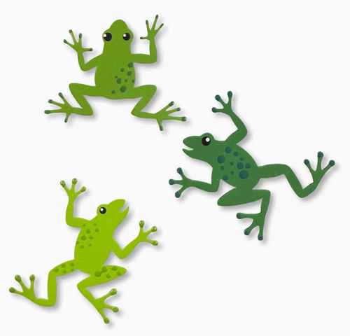 Frog Magnets