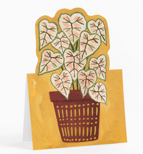 Plants Pop-Up Greeting Card Set