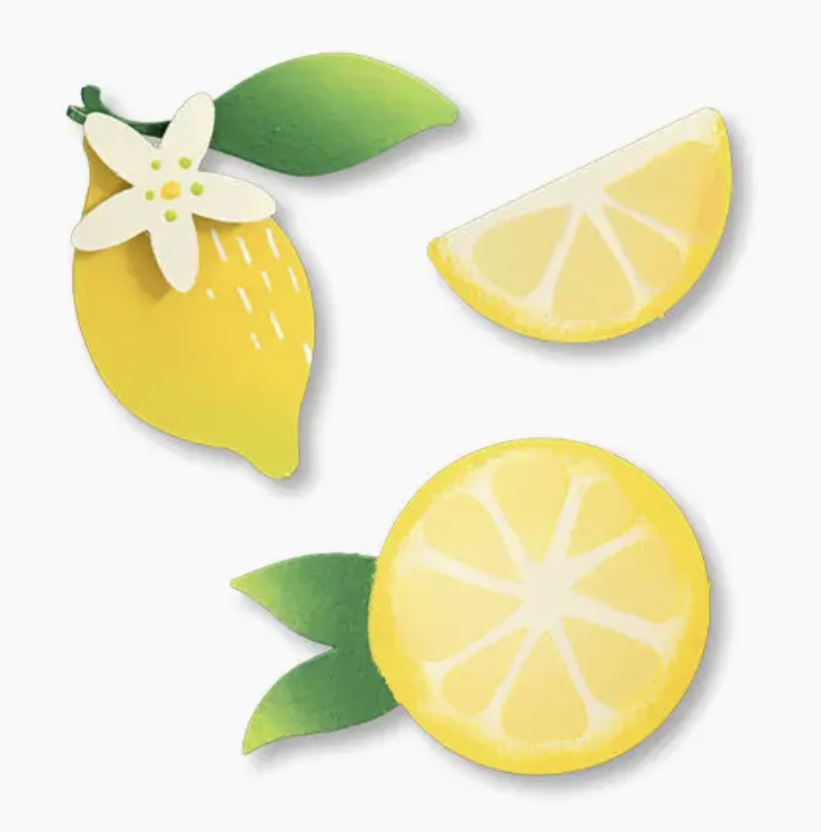 Lemon Magnets